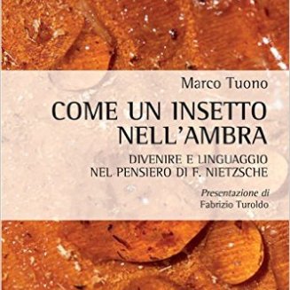 COME UN INSETTO NELL'AMBRA by Marco Tuono